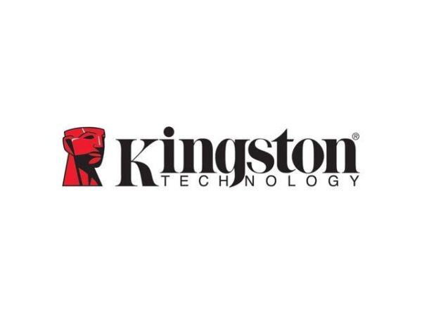 1TB Kingston XS2000 USB 3.2 Gen2 Grau