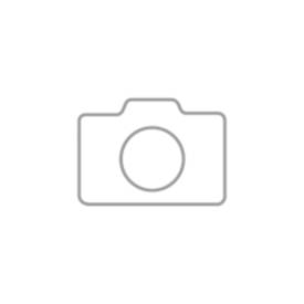 INTG 10/25GB 2xSFP28 E810-XXVDA2 bulk